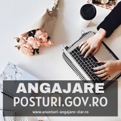 posturi.gov.ro concurs
